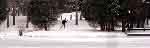 Cross-country skier at Green Lakes State Park